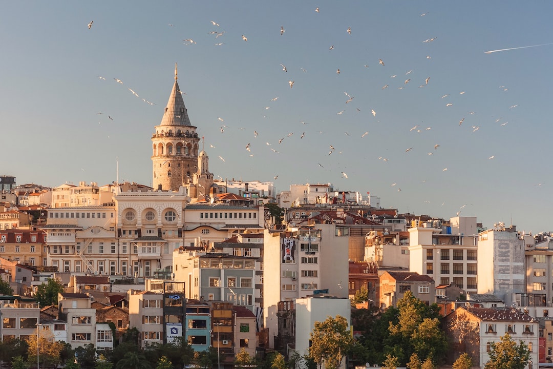 Kitap kapağı